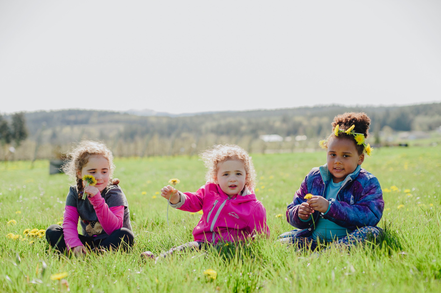 Chimacum Center Page Banner Photo